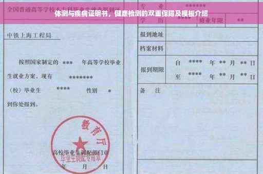 体测与疾病证明书，健康检测的双重保障及模板介绍