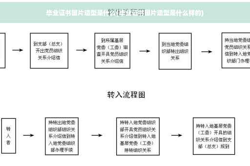 毕业证书图片造型是什么(毕业证书图片造型是什么样的)