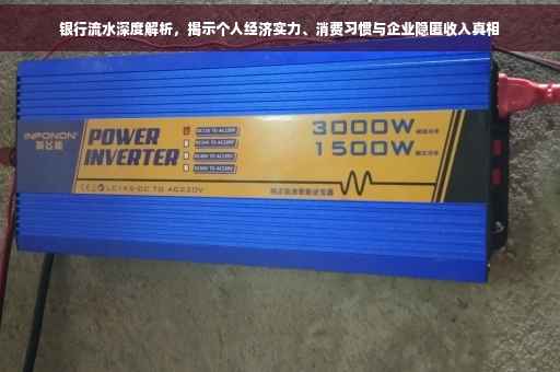 银行流水深度解析，揭示个人经济实力、消费习惯与企业隐匿收入真相