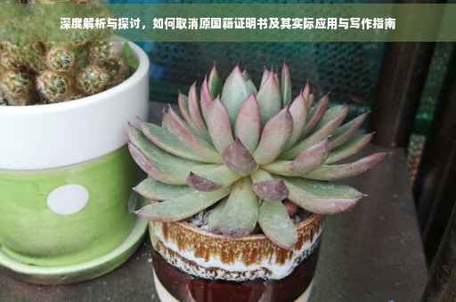深度解析与探讨，如何取消原国籍证明书及其实际应用与写作指南