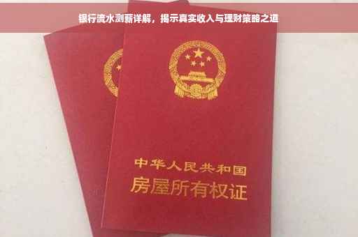 银行流水测薪详解，揭示真实收入与理财策略之道