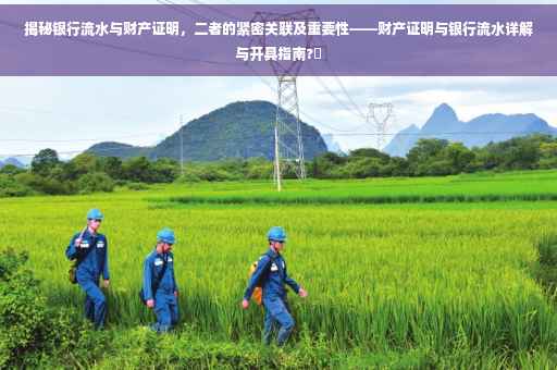 揭秘银行流水与财产证明，二者的紧密关联及重要性——财产证明与银行流水详解与开具指南?✨