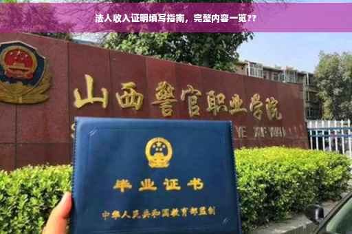 法人收入证明填写指南，完整内容一览??