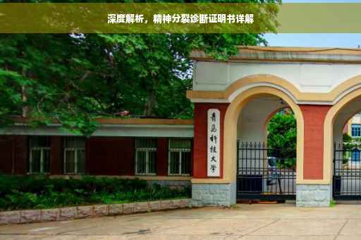 深度解析，精神分裂诊断证明书详解
