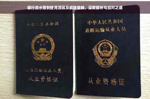 银行流水限制使用原因及解除策略，深度解析与应对之道