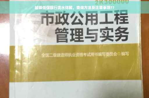 城镇低保银行流水详解，查询方法及注意事项??