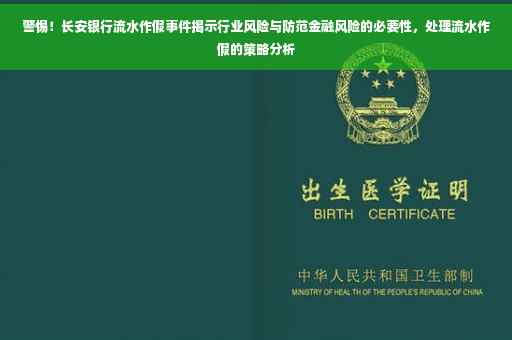 警惕！长安银行流水作假事件揭示行业风险与防范金融风险的必要性，处理流水作假的策略分析