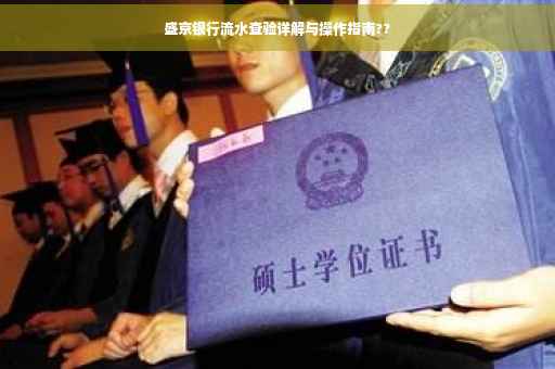 盛京银行流水查验详解与操作指南??