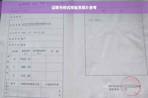 证明书格式样板及图片参考