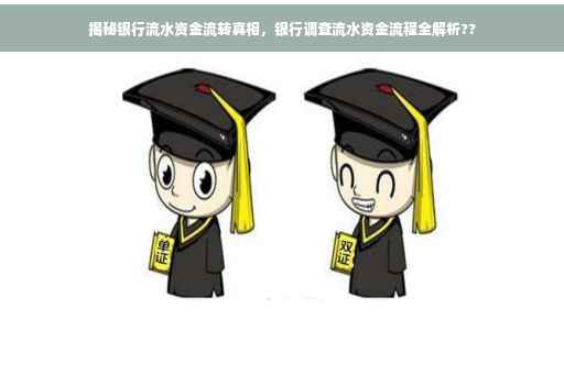 揭秘银行流水资金流转真相，银行调查流水资金流程全解析??