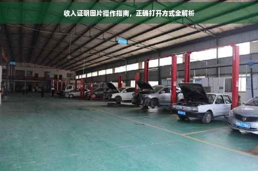 收入证明图片操作指南，正确打开方式全解析
