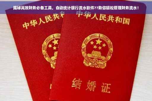 揭秘高效财务必备工具，自动统计银行流水软件??助你轻松管理财务流水！