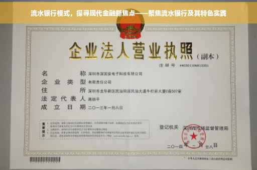 流水银行模式，探寻现代金融新焦点——聚焦流水银行及其特色实践