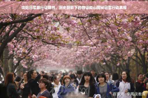 沈阳日军暴行证明书，历史阴影下的铁证如山揭秘日军行动真相