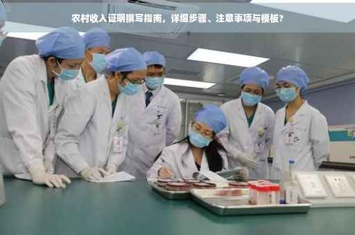 农村收入证明撰写指南，详细步骤、注意事项与模板?