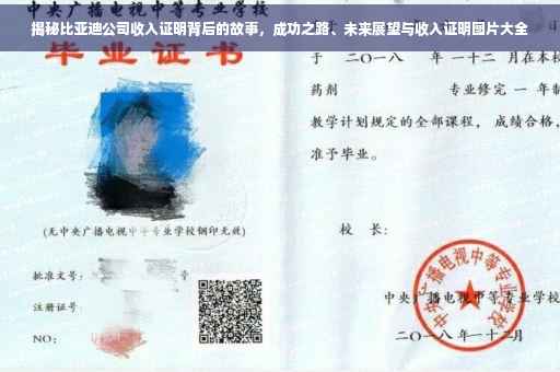 揭秘比亚迪公司收入证明背后的故事，成功之路、未来展望与收入证明图片大全