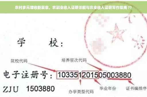 农村多元增收新篇章，农副业收入证明详解与农业收入证明写作指南 ??