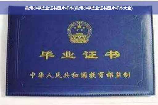 泉州小学毕业证书图片样本(泉州小学毕业证书图片样本大全)