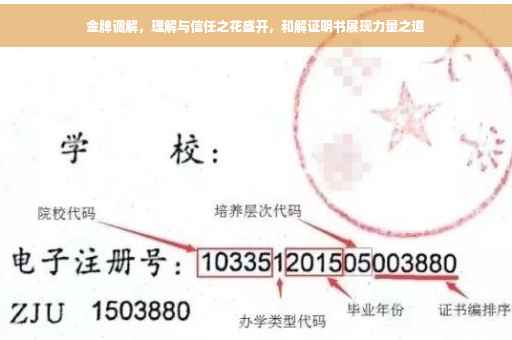 金牌调解，理解与信任之花盛开，和解证明书展现力量之道