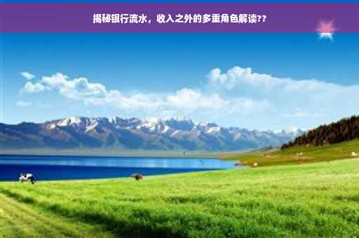 揭秘银行流水，收入之外的多重角色解读??