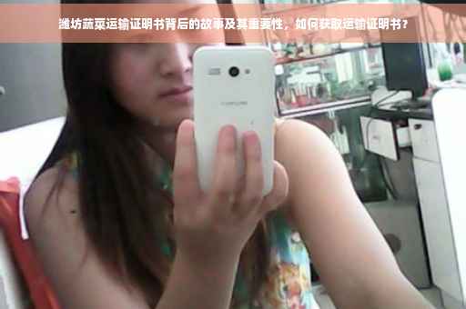 潍坊蔬菜运输证明书背后的故事及其重要性，如何获取运输证明书？