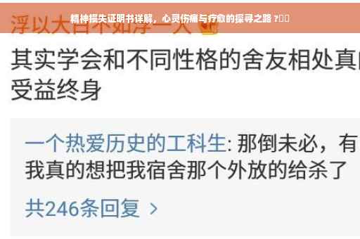 精神损失证明书详解，心灵伤痛与疗愈的探寻之路 ?⚡️