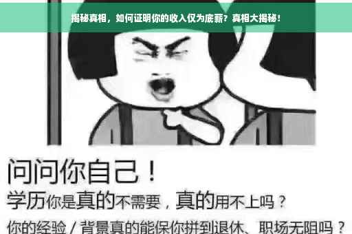 揭秘真相，如何证明你的收入仅为底薪？真相大揭秘！