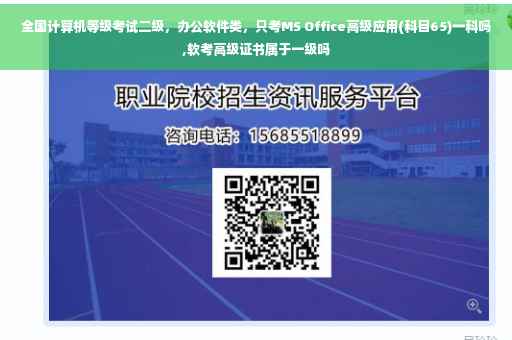 全国计算机等级考试二级，办公软件类，只考MS Office高级应用(科目65)一科吗,软考高级证书属于一级吗