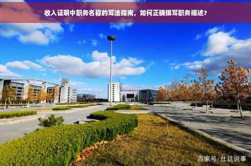 收入证明中职务名称的写法指南，如何正确撰写职务描述？