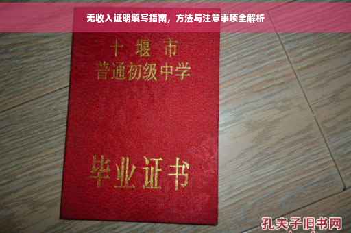 无收入证明填写指南，方法与注意事项全解析
