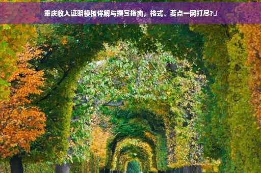 重庆收入证明模板详解与撰写指南，格式、要点一网打尽?✨