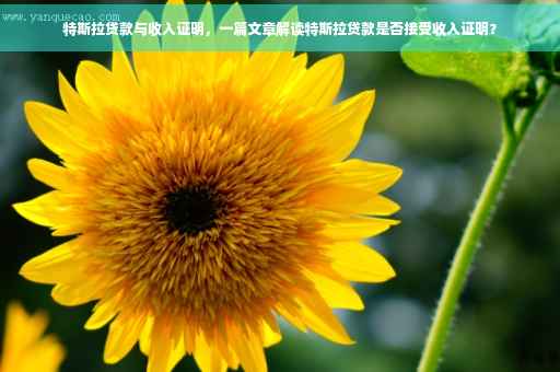 特斯拉贷款与收入证明，一篇文章解读特斯拉贷款是否接受收入证明？