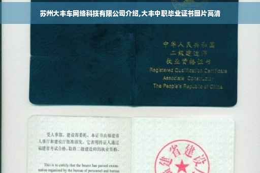 苏州大丰车网络科技有限公司介绍,大丰中职毕业证书图片高清