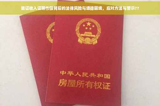 签证收入证明作假背后的法律风险与道德困境，应对方法与警示??