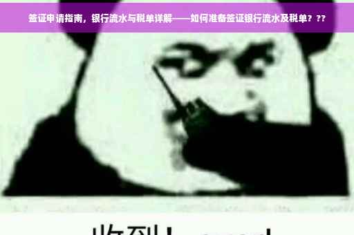 签证申请指南，银行流水与税单详解——如何准备签证银行流水及税单？??