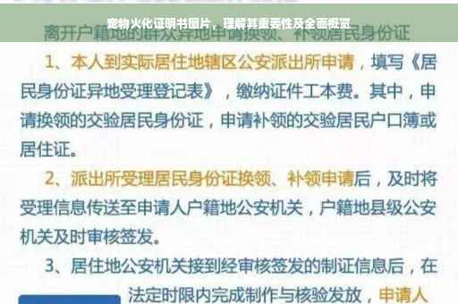 宠物火化证明书图片，理解其重要性及全面概览