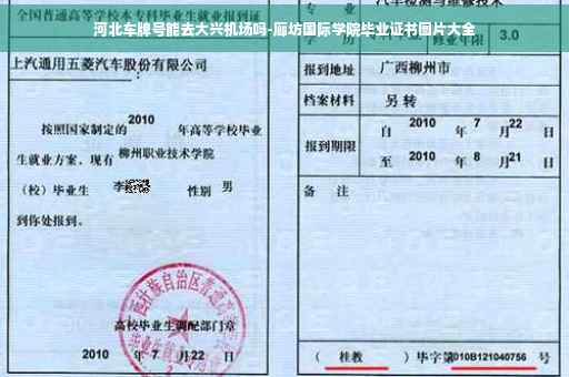 河北车牌号能去大兴机场吗-廊坊国际学院毕业证书图片大全