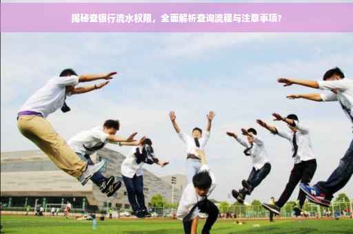 揭秘查银行流水权限，全面解析查询流程与注意事项?