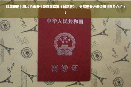 晚期证明书图片的重要性及获取指南（最新版），懒癌患者必备证明书图片介绍 ??