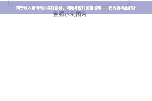 南宁收入证明代办真相揭秘，风险与应对策略揭秘——代办机构全解析