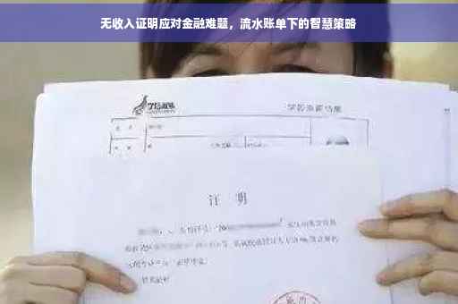 无收入证明应对金融难题，流水账单下的智慧策略