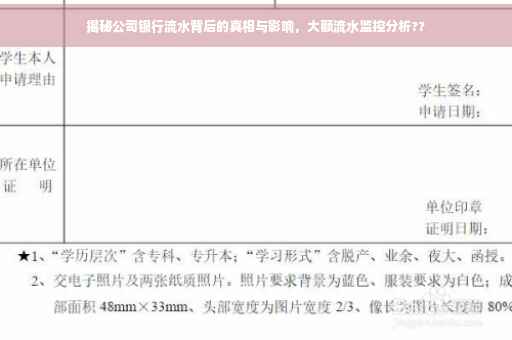 揭秘公司银行流水背后的真相与影响，大额流水监控分析??