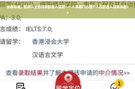 全面指南，职场人士如何获取收入证明——人事部门办理个人在职收入证明详解??