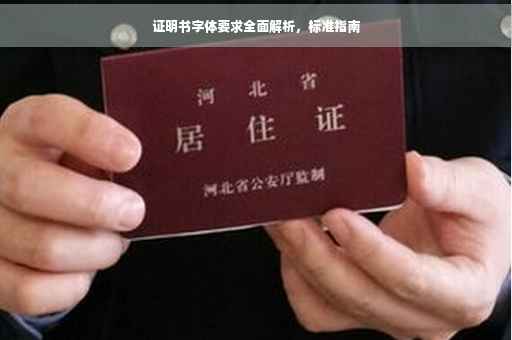 证明书字体要求全面解析，标准指南