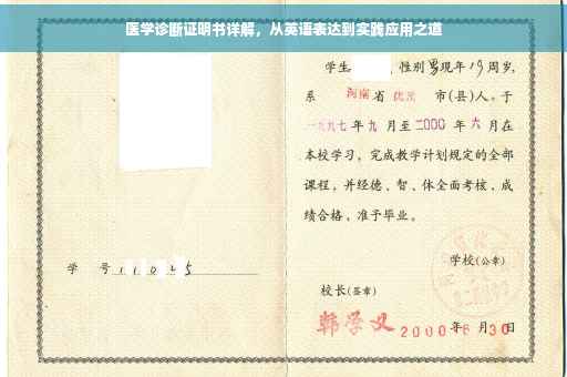 医学诊断证明书详解，从英语表达到实践应用之道