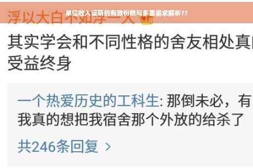 单位收入证明的有效份数与多重需求解析??