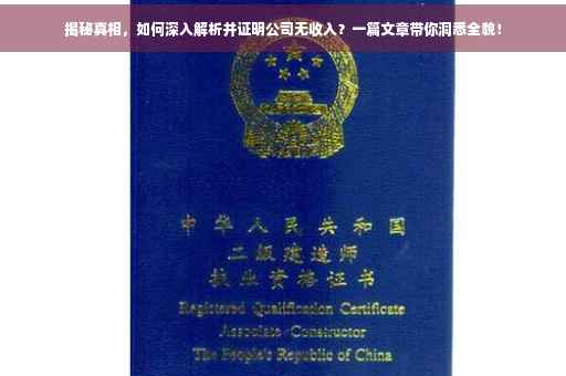 揭秘真相，如何深入解析并证明公司无收入？一篇文章带你洞悉全貌！