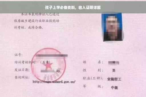 孩子上学必备资料，收入证明详解