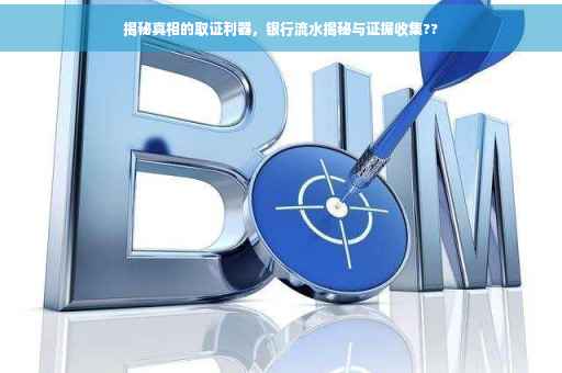 揭秘真相的取证利器，银行流水揭秘与证据收集??