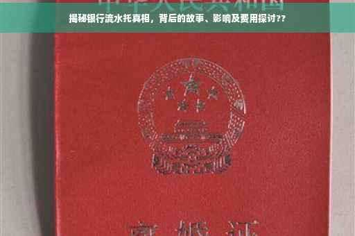 揭秘银行流水托真相，背后的故事、影响及费用探讨??